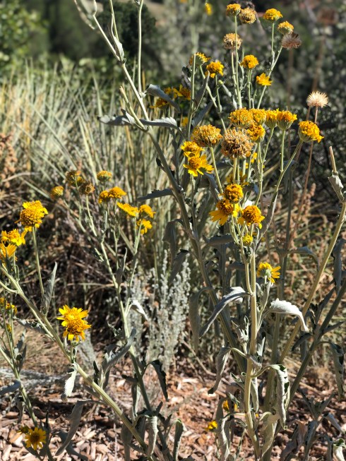 Photo Aug 28, 6 00 25 PM