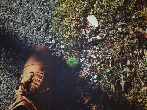 Photo Dec 15, 1 50 39 PM