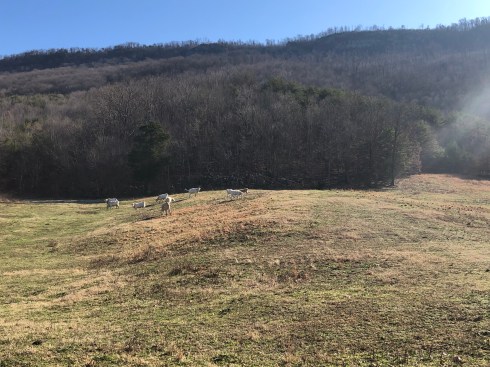 Photo Dec 18, 11 05 38 AM