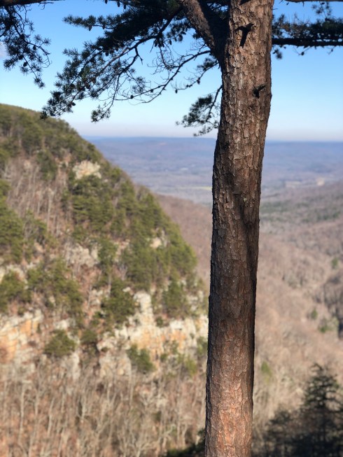 Photo Dec 18, 11 26 11 AM