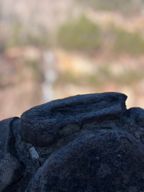 Photo Dec 18, 11 26 17 AM