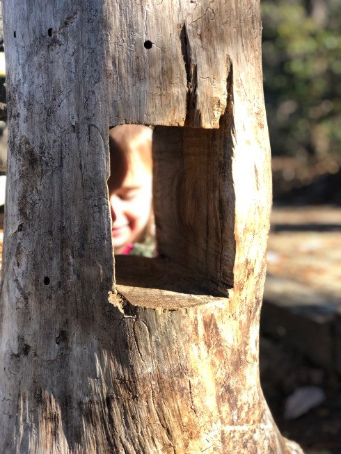 Photo Dec 18, 11 43 56 AM