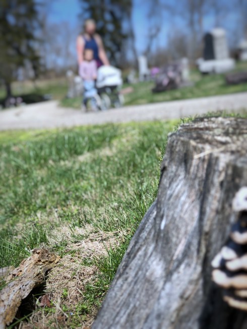 Photo Mar 26, 12 40 34 PM