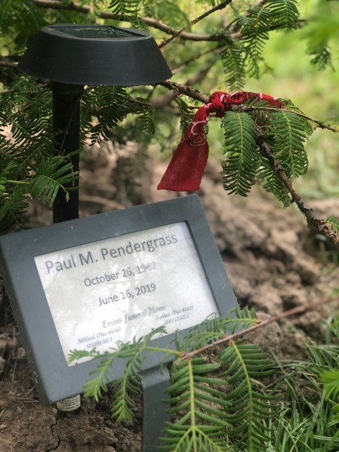 Photo Jun 16, 3 43 52 PM