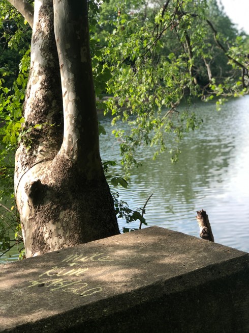 Photo Jun 16, 5 45 42 PM