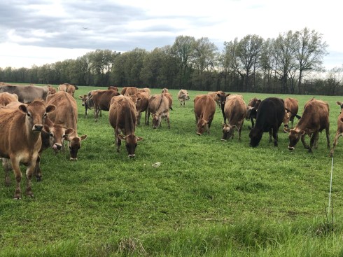 Photo Apr 29, 12 30 54 PM