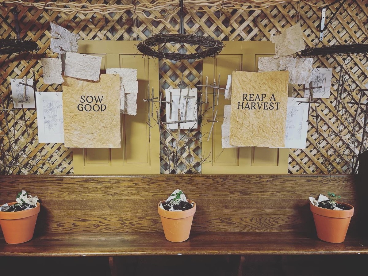SOW GOOD – REAP A&nbsp;HARVEST
