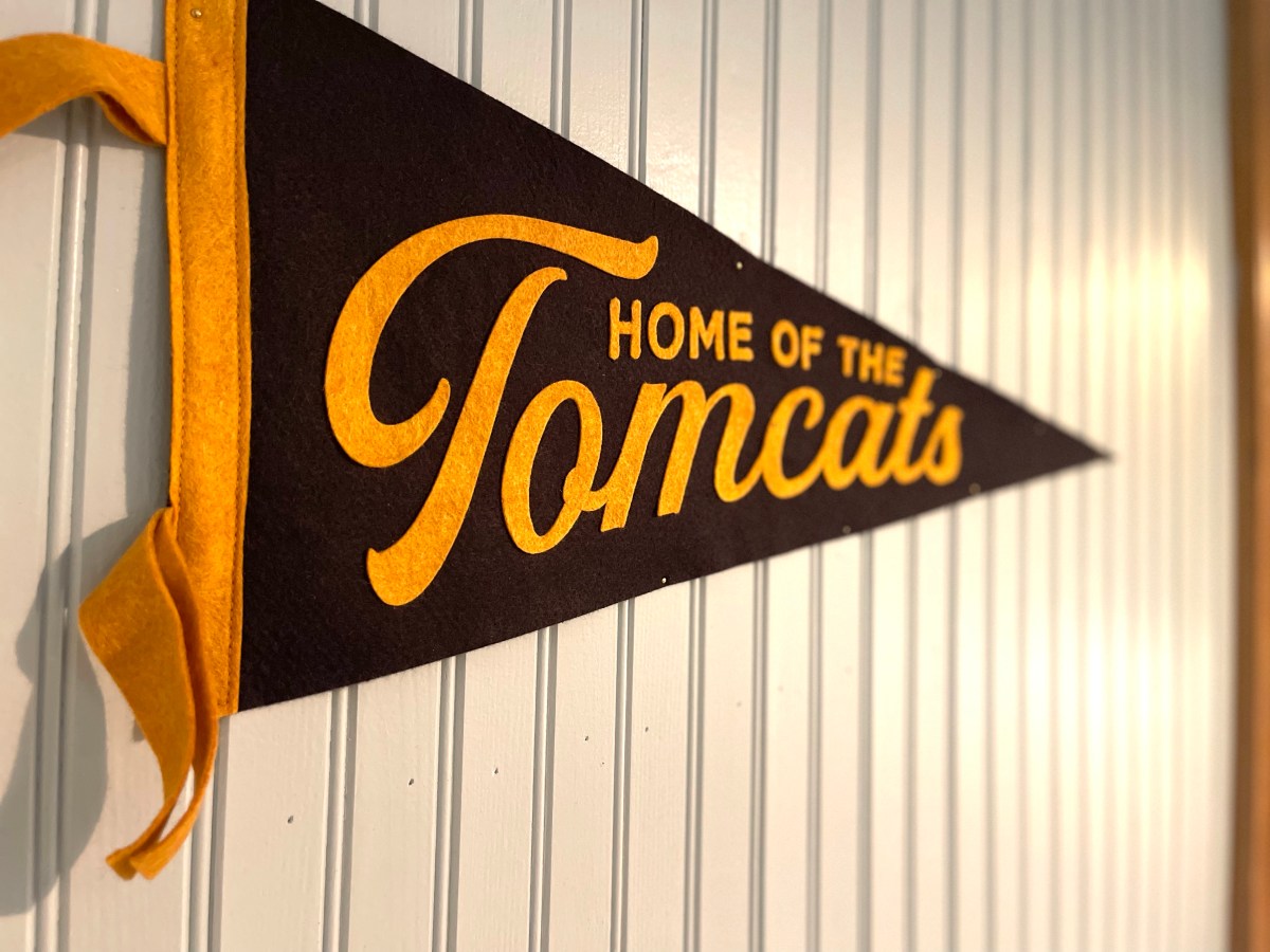 TEACHING THOSE TOMCATS